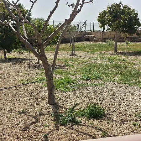 Canaria * Buzanada