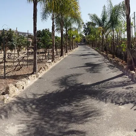 Canaria * Buzanada